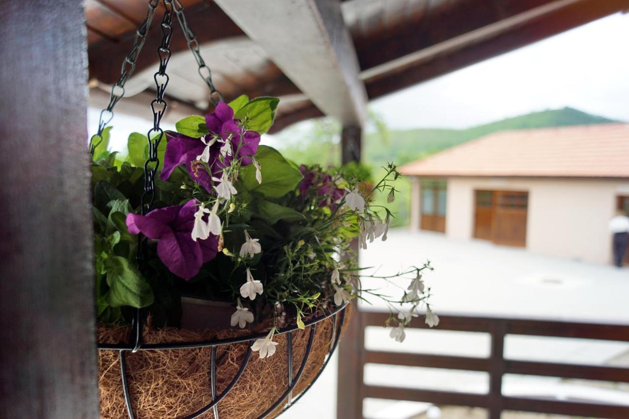 Cabana La Pestera Pestera  ภายนอก รูปภาพ